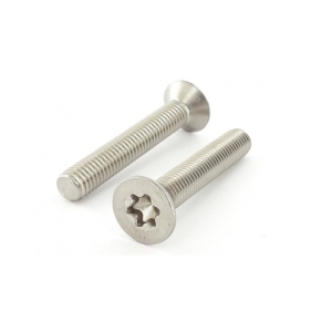 TORX-Schraube M6 INOX A4 Marine für Foil